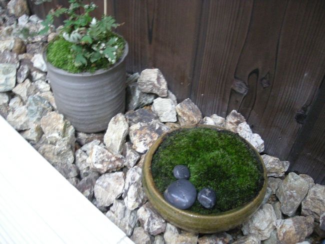 すみずみまでミッキー