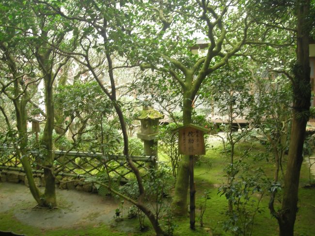 お庭がすてきすぎる