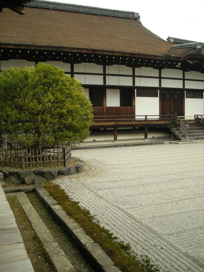 2月だからか、人がいなくて静かでした。<br />その点お勧めだけど、とっても寒いです。<br />廊下が冷たくて冷たくて。