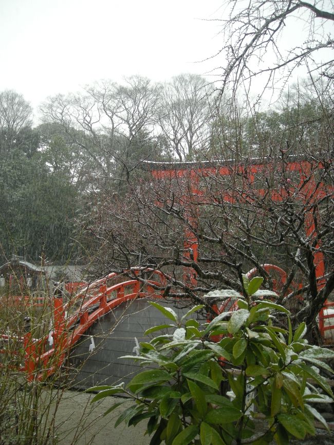 雪と鳥居