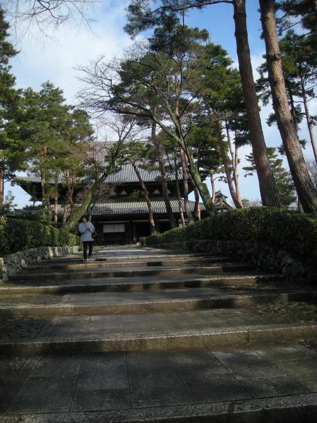 二日目、友達のご実家近く、むしろ隣の相護寺。