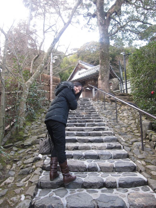 この旅、最後の観光地、鈴虫寺。