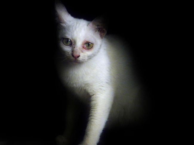 ご覧いただきありがとうございます。