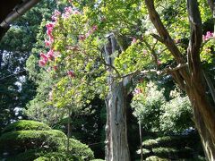続いて、江戸時代中期に庄屋、松本藩主の本陣として建てられた等々力家を見学。