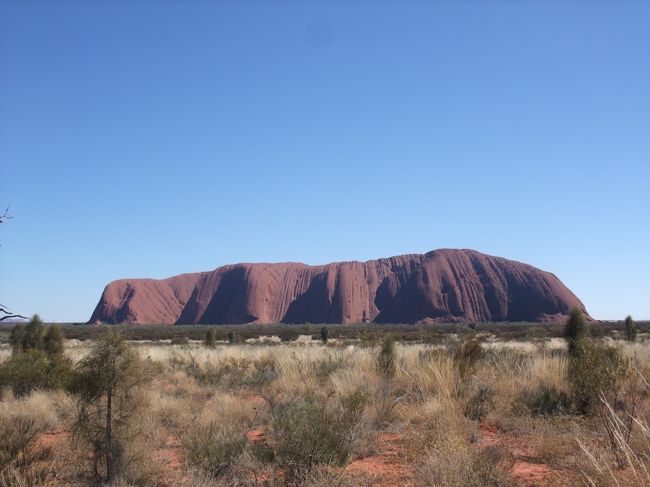 サンライズの展望台に車で移動して、ウルルの全景を望む。<br /><br />どこまでも青いオーストラリアの冬の空。