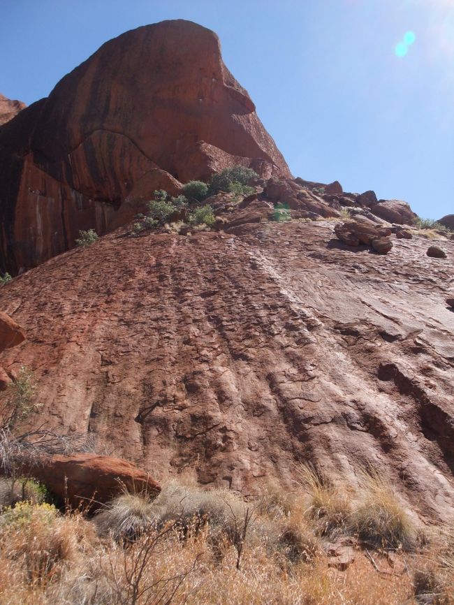 間近に見るウルルは、やっぱり大きかった！！！<br /><br />アボリジニの聖地ということで、今回は登山は考えなかったが、直接岩肌に触れて、たっぷりパワーを吸収してきた！