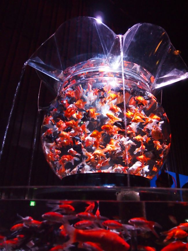 アートになった金魚たちの織りなす世界は 妖艶で幻想的だった 日本橋 東京 の旅行記 ブログ By こあひるさん フォートラベル
