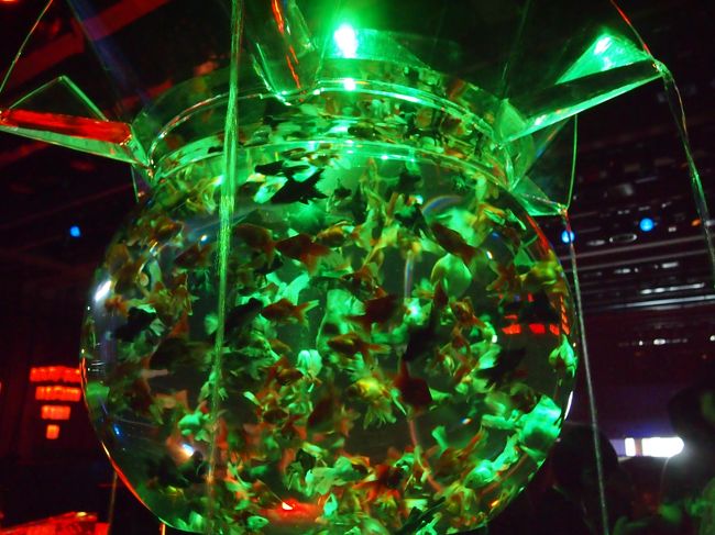 アートになった金魚たちの織りなす世界は 妖艶で幻想的だった 日本橋 東京 の旅行記 ブログ By こあひるさん フォートラベル