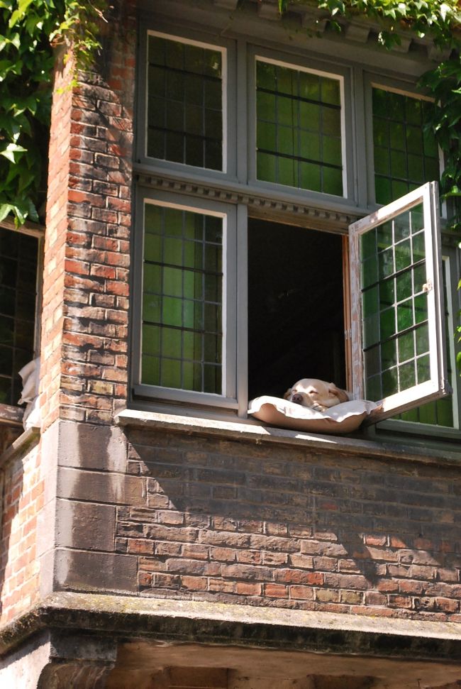 ボートツアーからの「ワン」ショット。犬だけに。こんな素敵な街で飼われている彼（彼女）は、世界で最も幸せな犬の一匹でしょう…<br /><br />今回は一日だけの観光でしたが、来て絶対に損しない街という印象です。次回も是非訪れたい街でした。