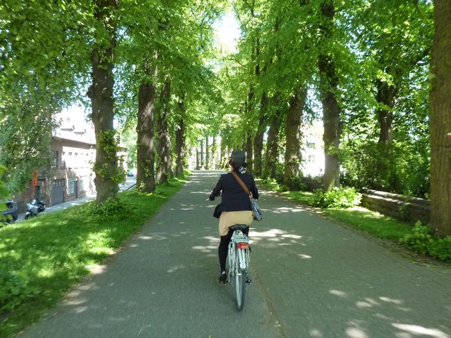 木漏れ日ロードを抜けて、、、