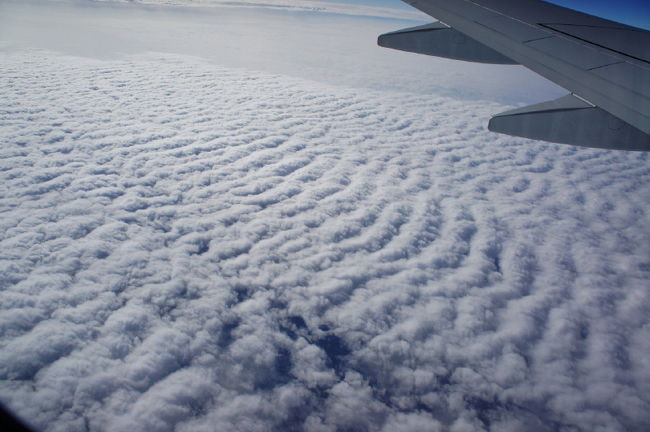<br />①「雲　海」<br /><br />　これも飛行機に乗った時の楽しみ<br /><br />　綺麗な「鱗雲？」「鰯雲？」が見れました