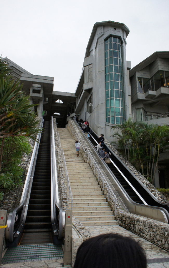 <br />①「美ら海水族館」<br /><br />　なんとか午前中に到着しました。<br /><br />　<br /><br />　水槽が有る館内に入らなければ<br />　<br />　「イルカショー」など外での<br />　　<br />　アトラクションは全て無料。<br /><br />　<br />　子供連れで水族館好きな方なら<br />　１日遊べるでしょう
