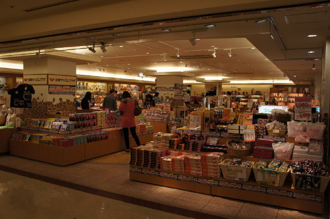 <br />②2011.03.11<br /><br />　朝は休みなのに早起きなのだー<br /><br />　ホテル内とホテルの周りを散策<br /><br />　写真はホテル内の土産品売場！