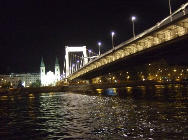 ﾌﾞﾀﾞﾍﾟｽﾄへ　　ﾄﾞﾅｳ川ｸﾙｰｽﾞ