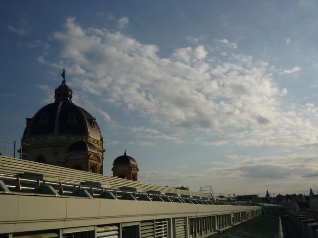 ｳｲｰﾝ　自然史博物館の屋上よりｳｲｰﾝ市内を眺める