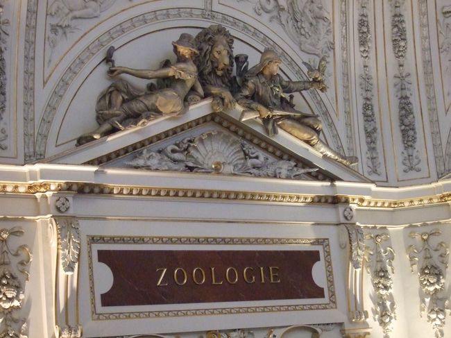 自然史博物館の中<br />