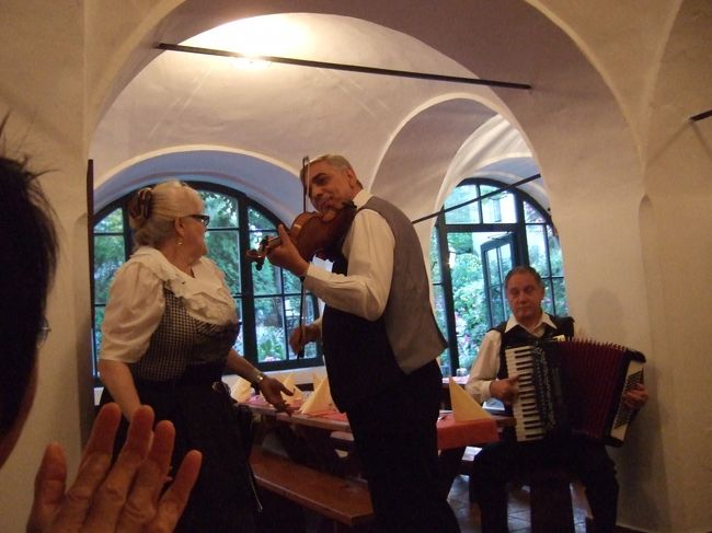 ｱｺｰﾃﾞｨｵﾝとﾊﾞｲｵﾘﾝでﾘｸｴｽﾄにこたえてくれます<br />