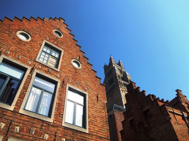 日差しが強くて、とっても暑いです…<br />すぐに水を飲みたくなります。