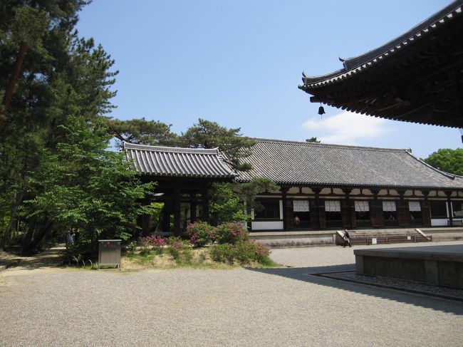 講堂を横目に　戒壇　の方へ