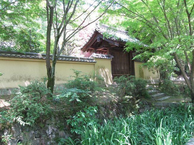 戒壇の横の蓮池の辺を通り、本坊の前を御影堂の方へ