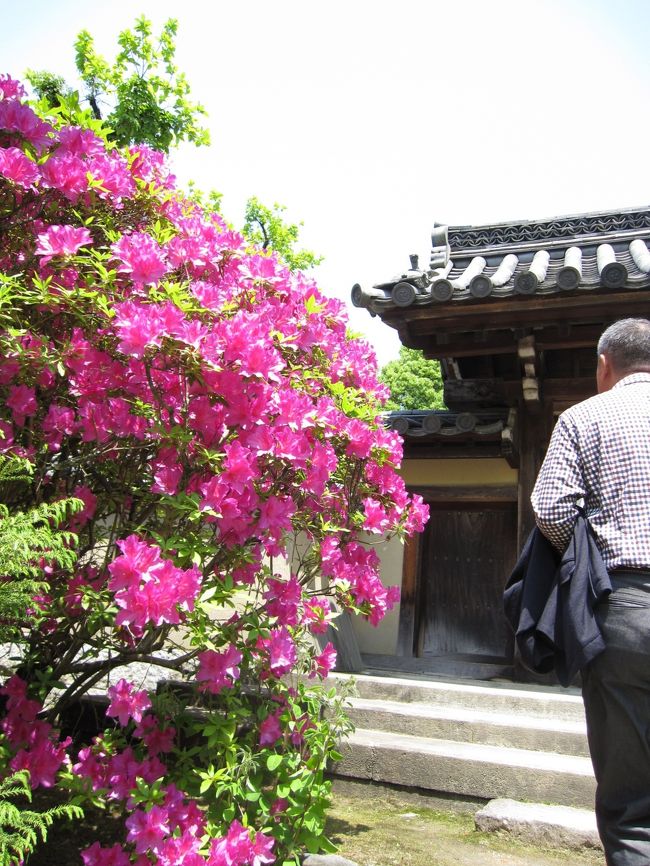 入口に咲いているツヅジの前を過ぎて