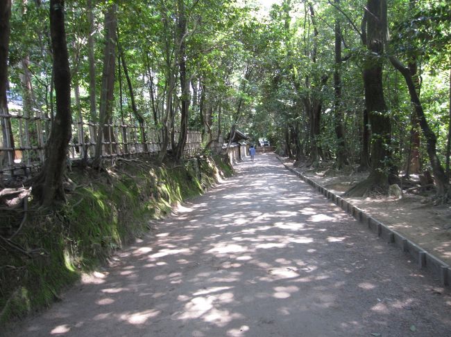 ４御影堂　⇒　６鑑真和上御霊廟　のルートを進みます。