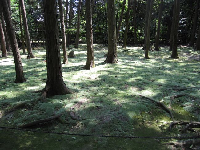 途中で見かけた苔庭。<br />天候のせいか明る過ぎて、風情が無いと感じるのは考えすぎ？