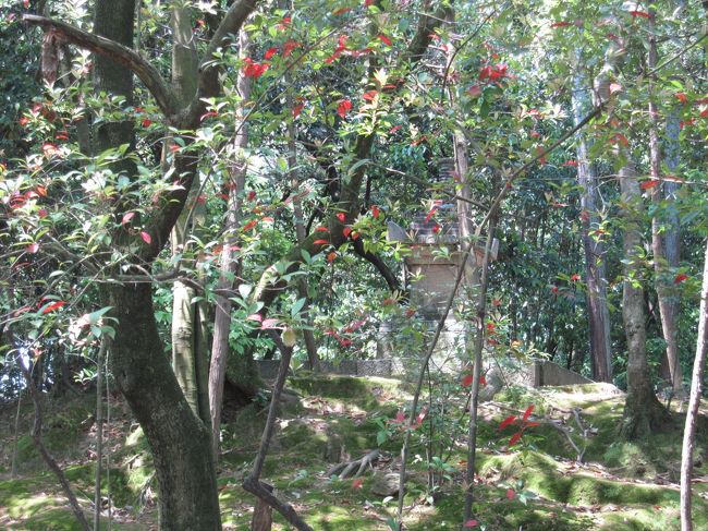 鑑真和上御霊廟を後にして歩いてると、奥に仏塔が見えてます。