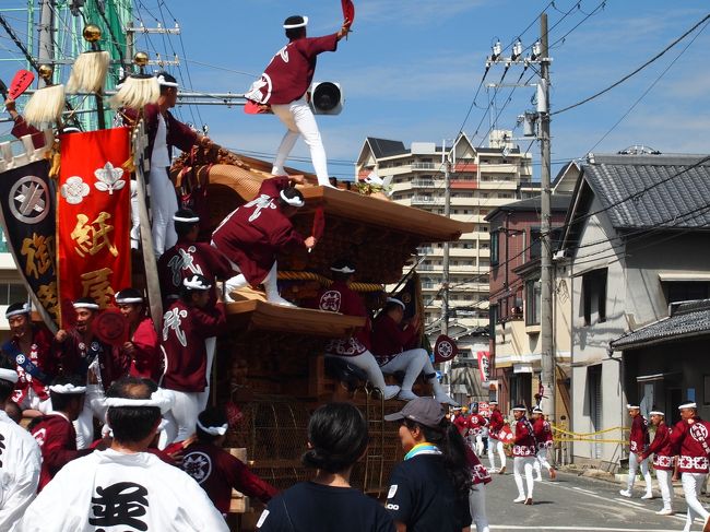 弾丸 岸和田だんじり祭り 12 9 15 岸和田 貝塚 大阪 の旅行記 ブログ By ぽちこさん フォートラベル