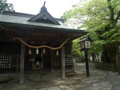 鷺舞を奉納する弥栄神社。
大鳥居やご神木がある。