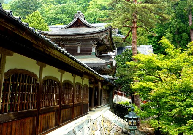 山陰・北陸 日本海浪漫紀行 ②永平寺散策編』勝山(福井県)の旅行