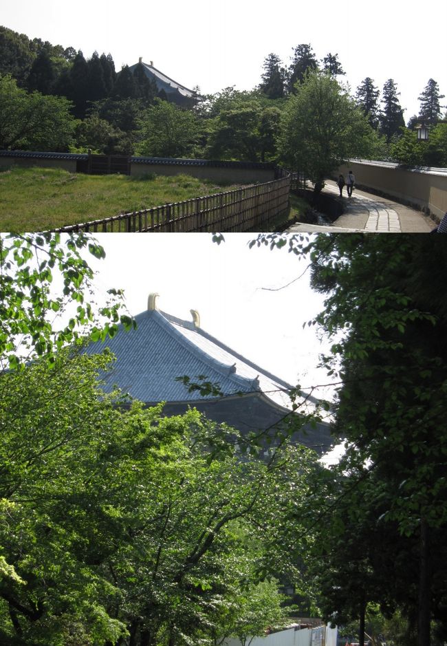 大仏殿の鴟尾が梢越しに見えて来ました。