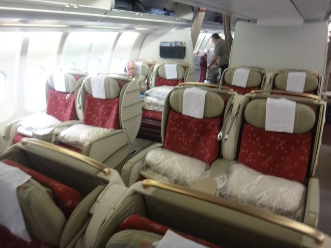 TAM航空ビジネスクラスシートの写真