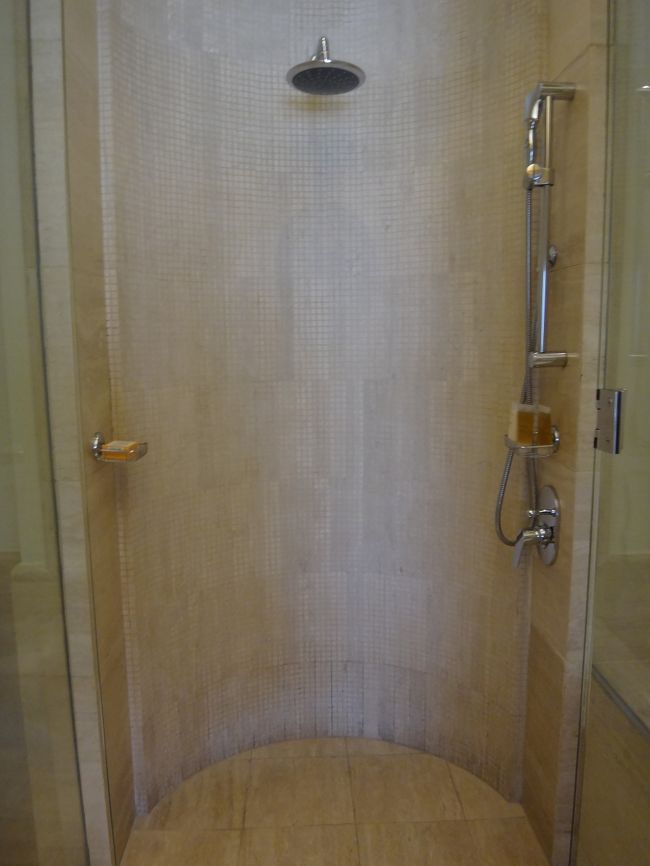 一応レインシャワー？