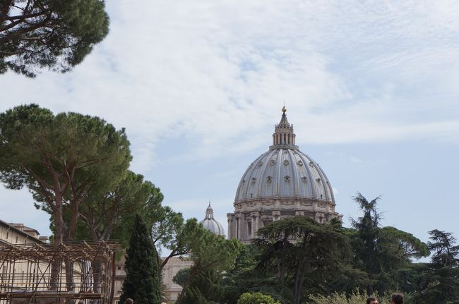 バタバタと入場しちゃたから、美術館正面と入場待ちの大行列は写真ナシ。<br /><br />見学の前に一休み。<br />テラスからサン・ピエトロ大聖堂のクーポラが。<br />