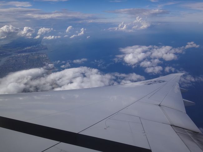 全日空のマイルのためとは言え、乗り継ぎで中南米は<br />結構疲れました。<br />（機中2泊で約23時間半もの長時間、機中でした。）<br /><br />遺跡巡りは、しばらく予定がなさそうです。^_^;