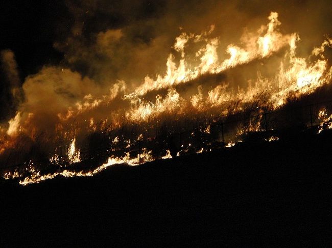 勢い良く燃え広がる炎。