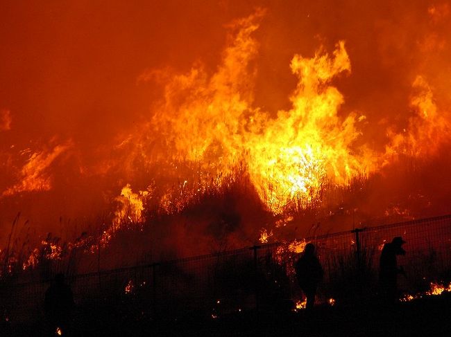 離れた見学エリアにも熱が伝わってきました。