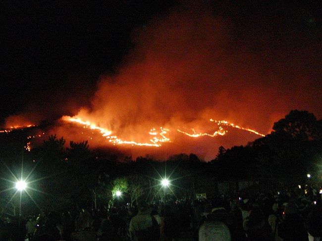 近鉄奈良駅に戻る途中で見た若草山。遠くから見るのもいいかも知れません。