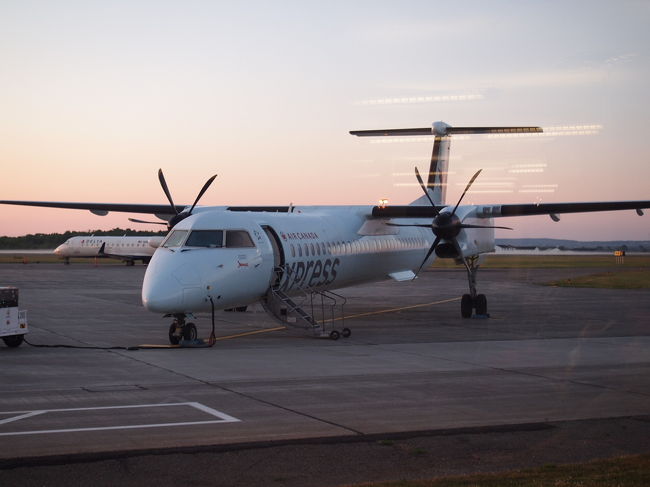 小さなプロペラ機。<br />あれに乗るんだろうな・・・少し怖い。