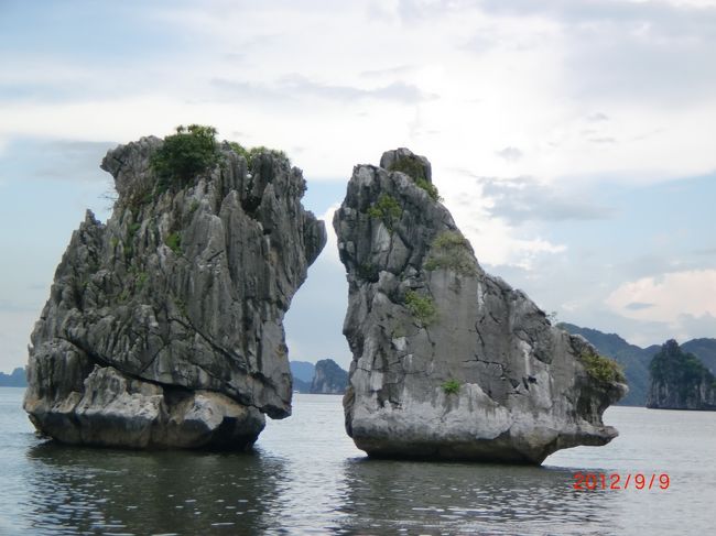 これは何でしょうか？！<br /><br /><br /><br /><br /><br />正解は雌鳥と雄鶏です。