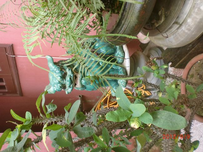 バッチャン村の窯元にあった狛犬<br />なかなか味があってよい！<br /><br />バッチャン焼きは世界的にも有名な陶磁器です。<br />トンボとか蓮とかの絵柄が定番。<br />色としては赤・青が多いです。<br />１３世紀とか１４世紀とかのアンティークものも販売してました。