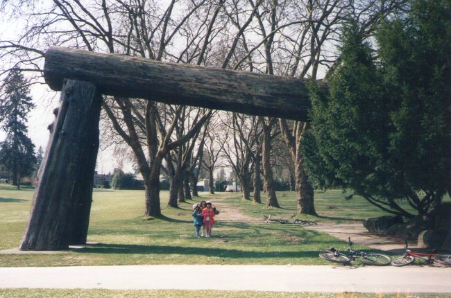 すごいね。この丸太。