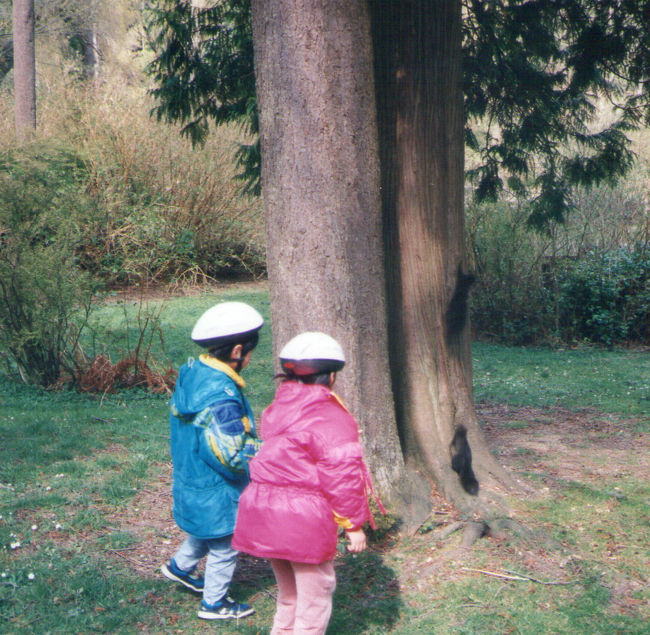 ちょっと黒リスさん。ピスタチオはいかが。