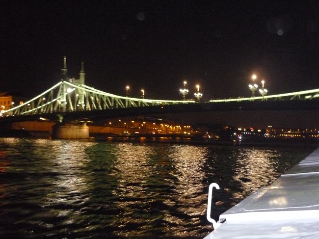 ﾄﾞﾅｳ川ｸﾙｰｽﾞ船から