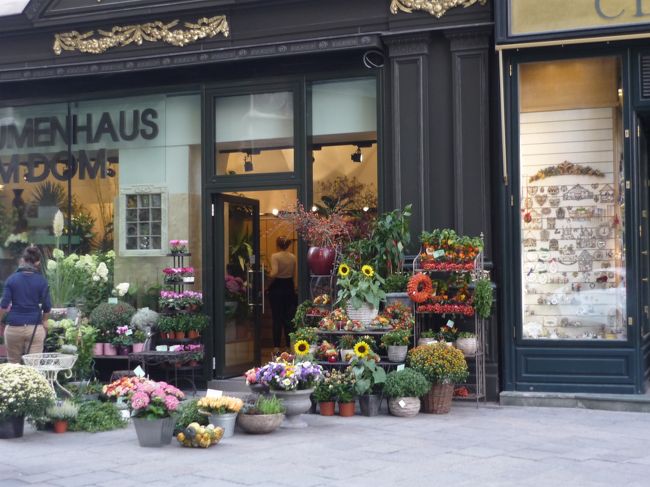 ｳｲｰﾝ　ｼｭﾃﾌｧﾝ寺院近くの花屋さん