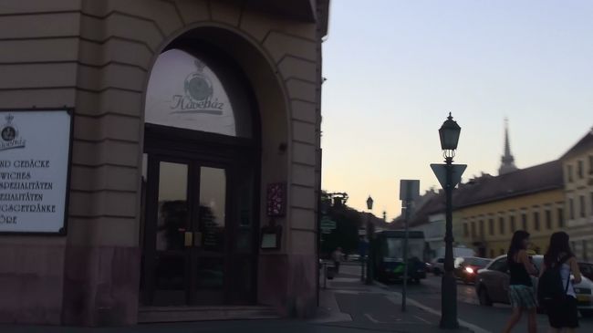 ヘアピンカーブから1分もしないうちに、王宮の丘に到着のようです！