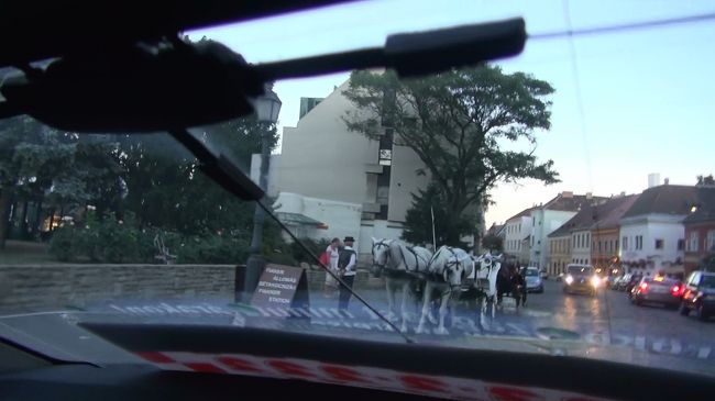 三位一体像広場で、馬を発見。<br />観光馬車のようで、ガイドブックには2000Ft/人とありました。