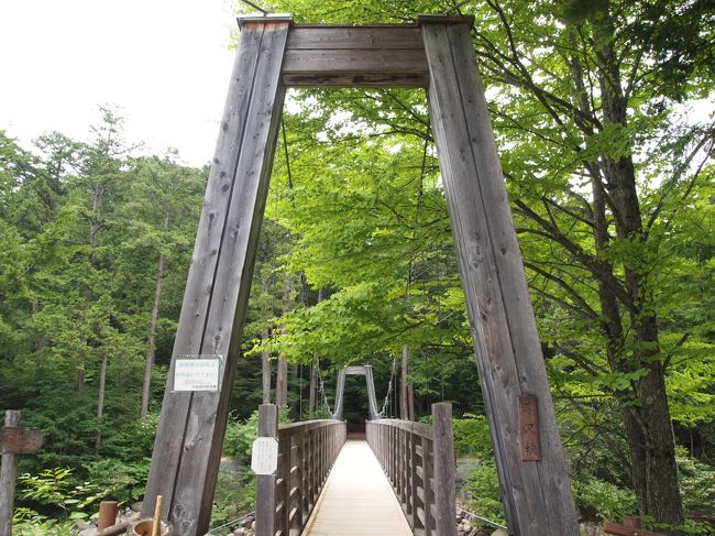 森林の入り口にふさわしい橋です。