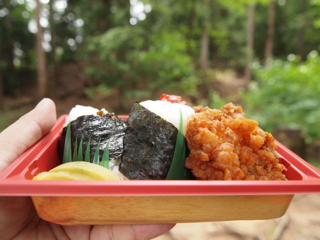 森林の中で、お弁当をいただきます。